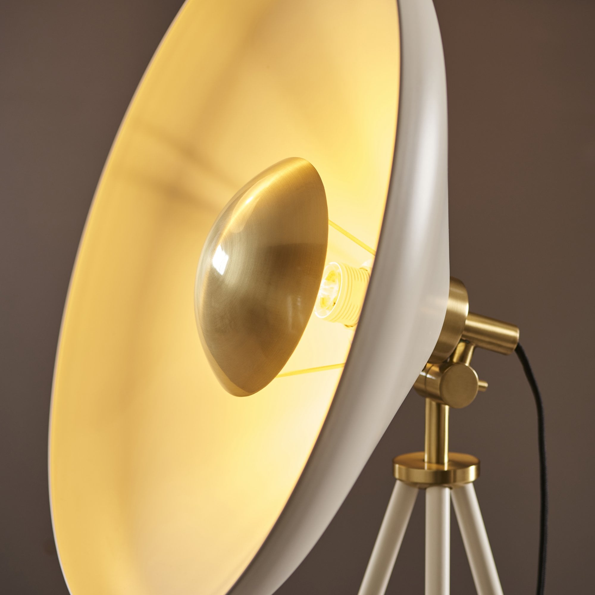 96563 1 Light Floor Lamp Warm White & Brushed Brass Plate