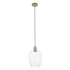 102679 1 Light Pendant Antique Brass Plate & Clear Glass