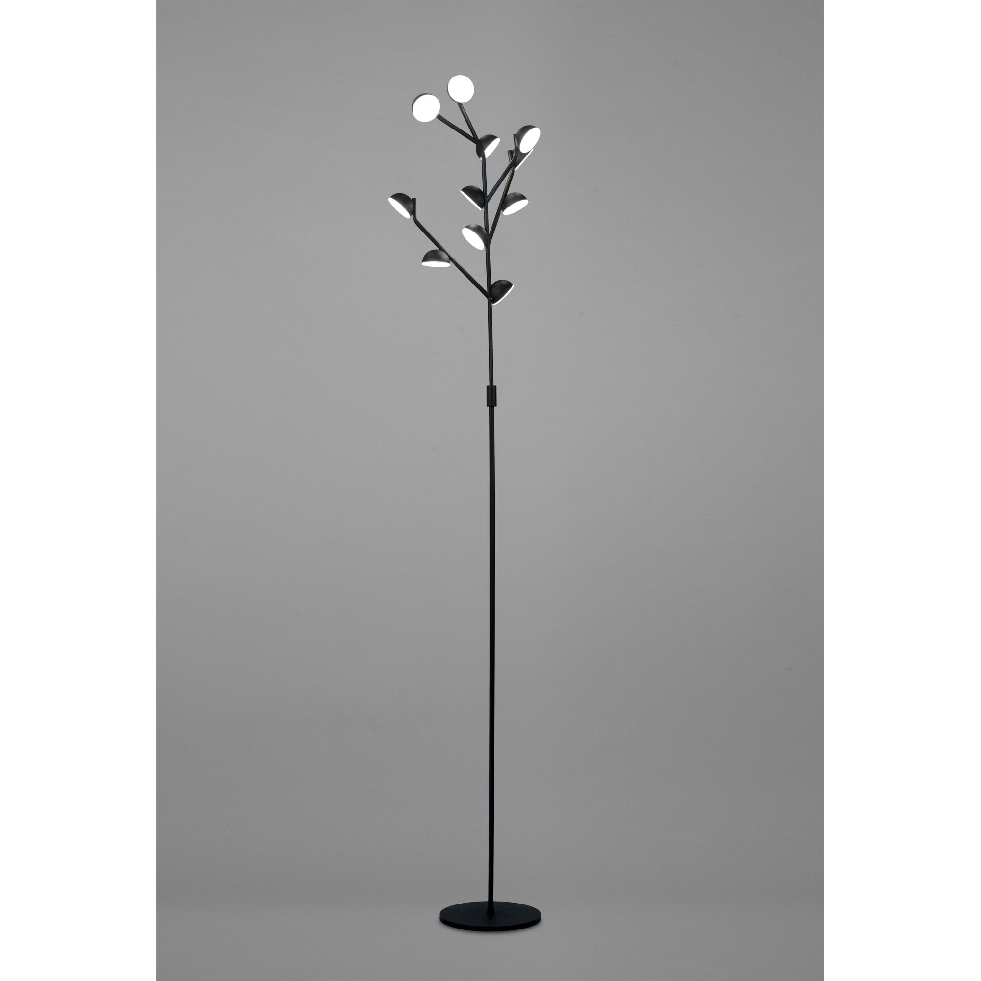 M6421 Adn 10 Light Floor Lamp 158cm 30W LED Black