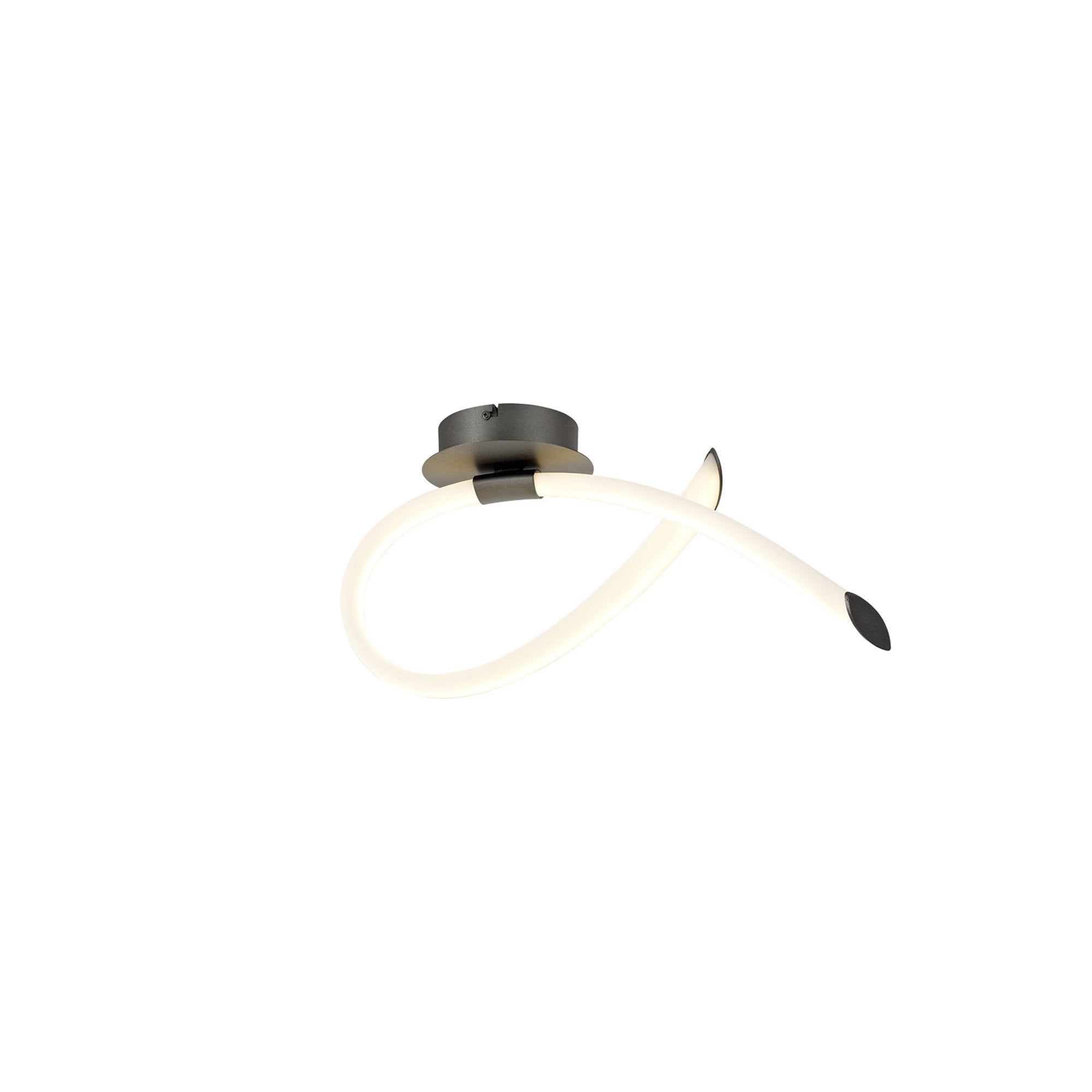 M6796 Armonia Wall Lamp Loop Dimmable 18W LED Titanium/Frosted Acrylic