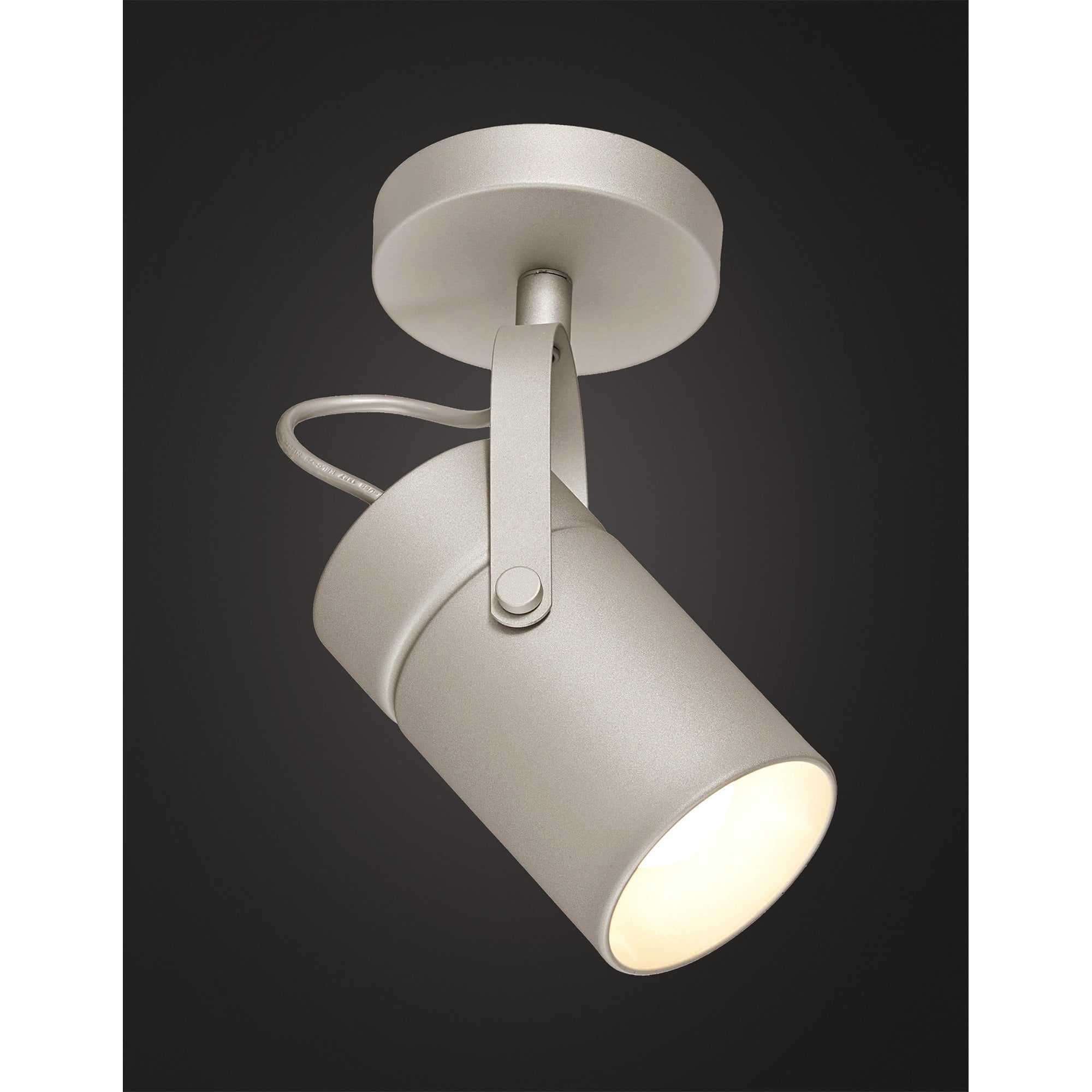 M6016 Aruba Spot 1L 1 x E27 Max 40W (Not Incl) Silver