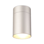 M5628 Aruba Flush Large 12cm Round 1 x E27 Silver