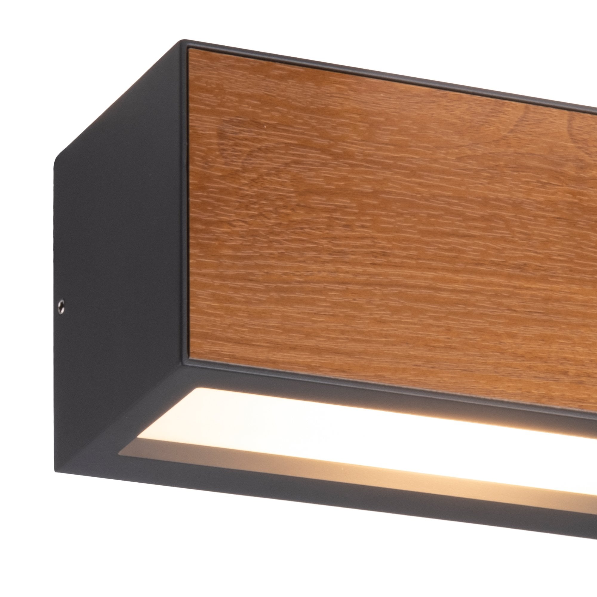 Beret Outdoor Wall  Lamp 1 Light Graphite