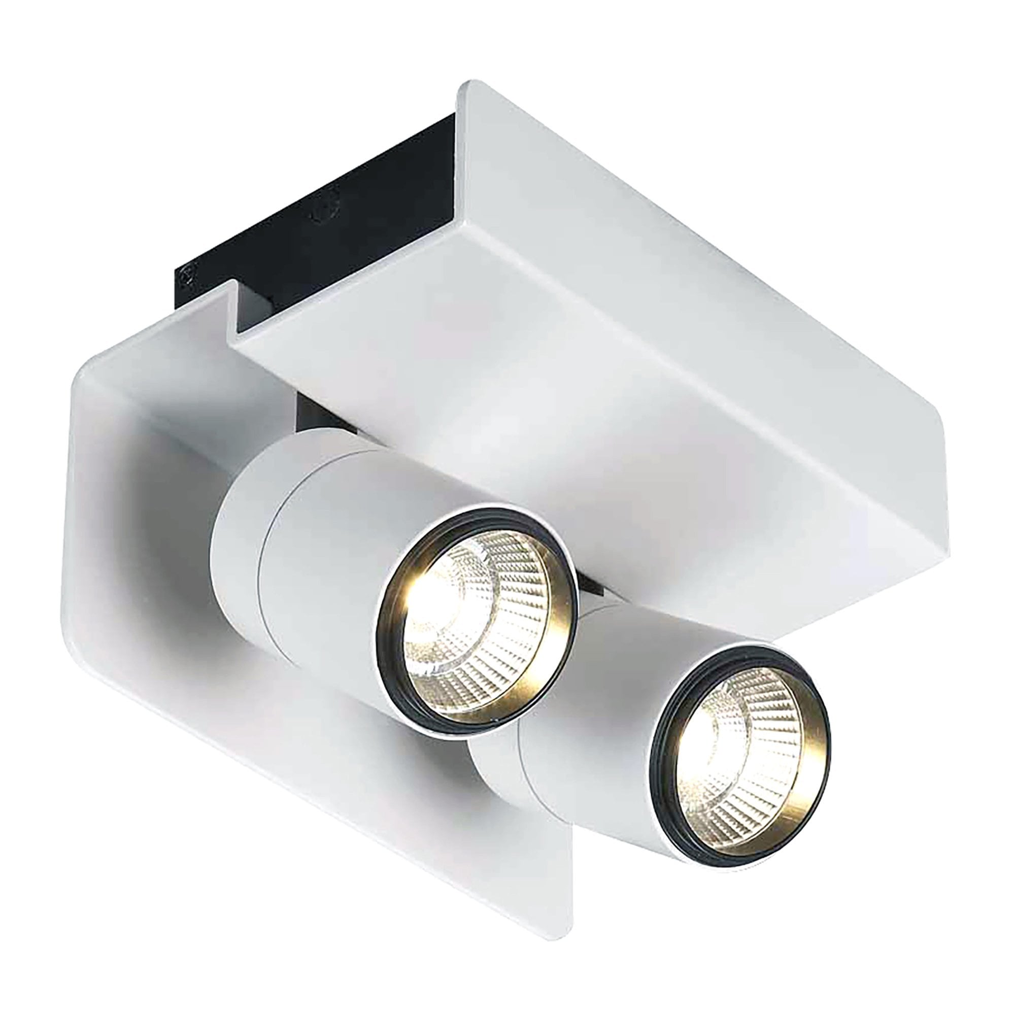 M5720 Bocaray Surface Mounted Spot / Wall Light 2 x 7W LED Matt White / Black