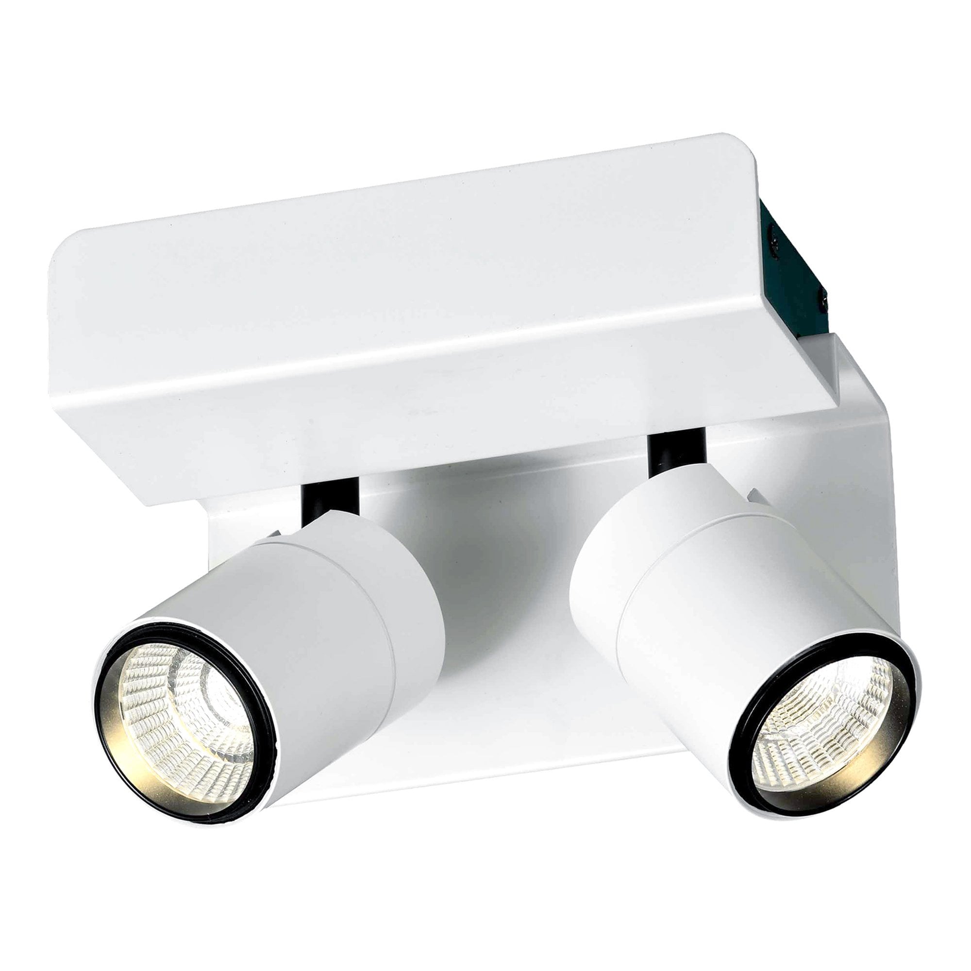 M5719 Bocaray Surface Mounted Spot / Wall Light 2 x 7W LED Matt White / Black