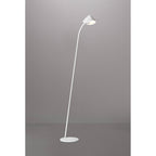M7577 Capuccina 1 Light Floor Lamp 8.5W LED White