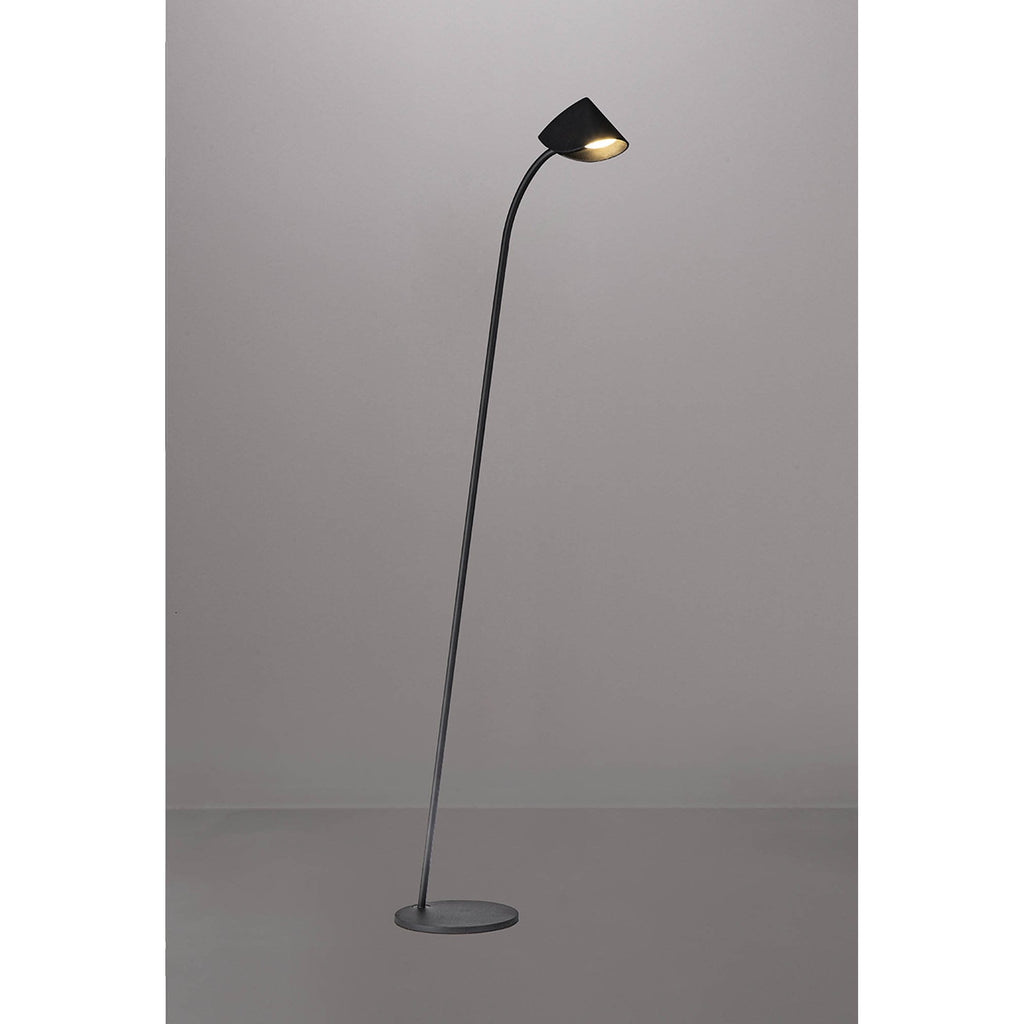 M7585 Capuccina 1 Light Floor Lamp 8.5W LED Black