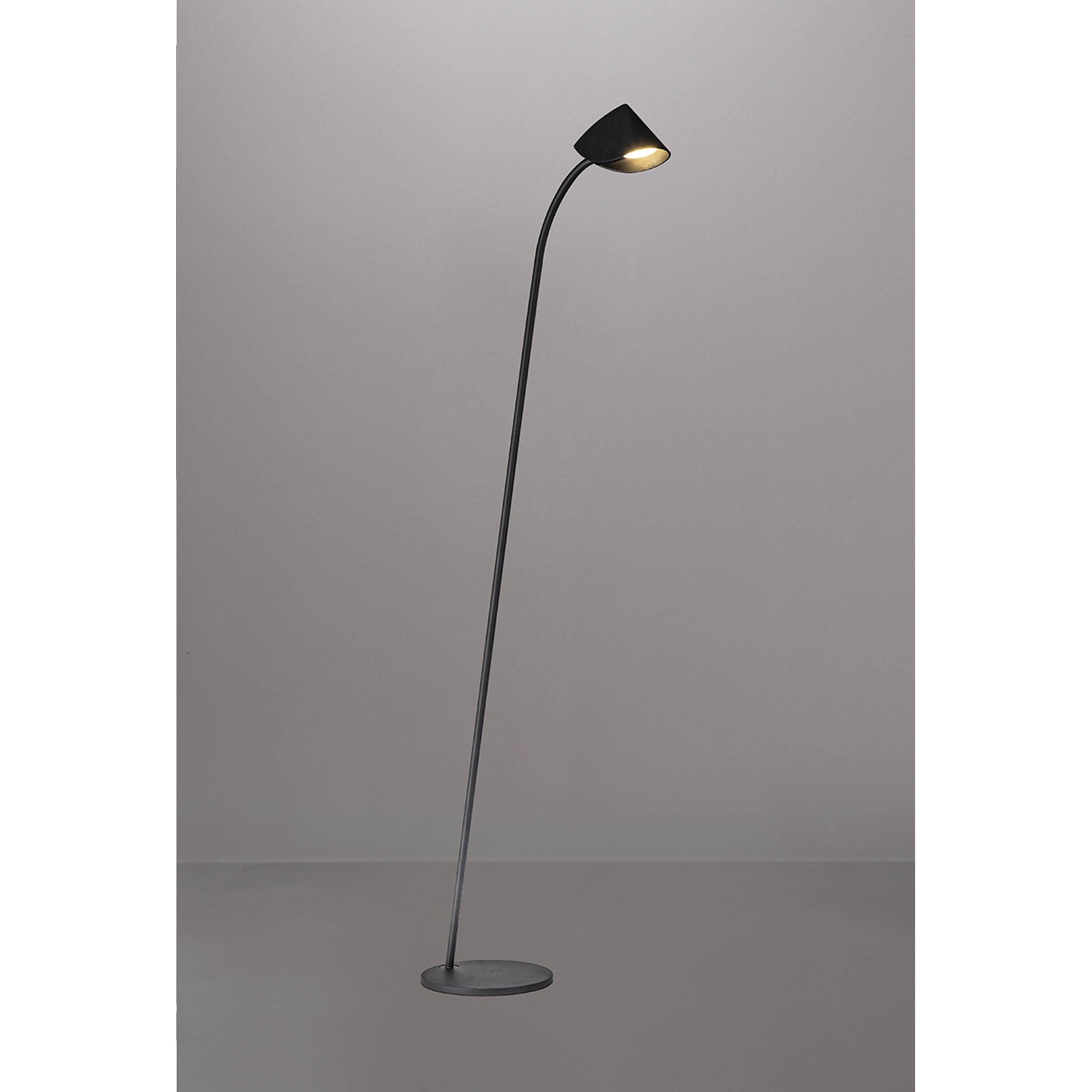 M7585 Capuccina 1 Light Floor Lamp 8.5W LED Black