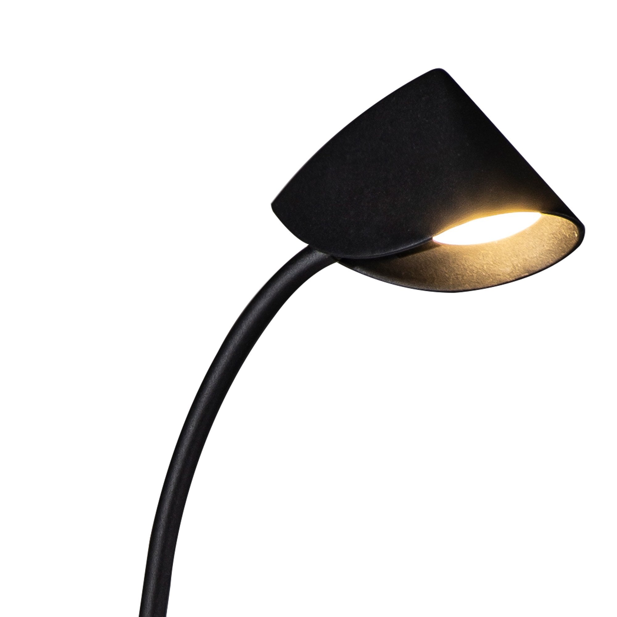 M7585 Capuccina 1 Light Floor Lamp 8.5W LED Black