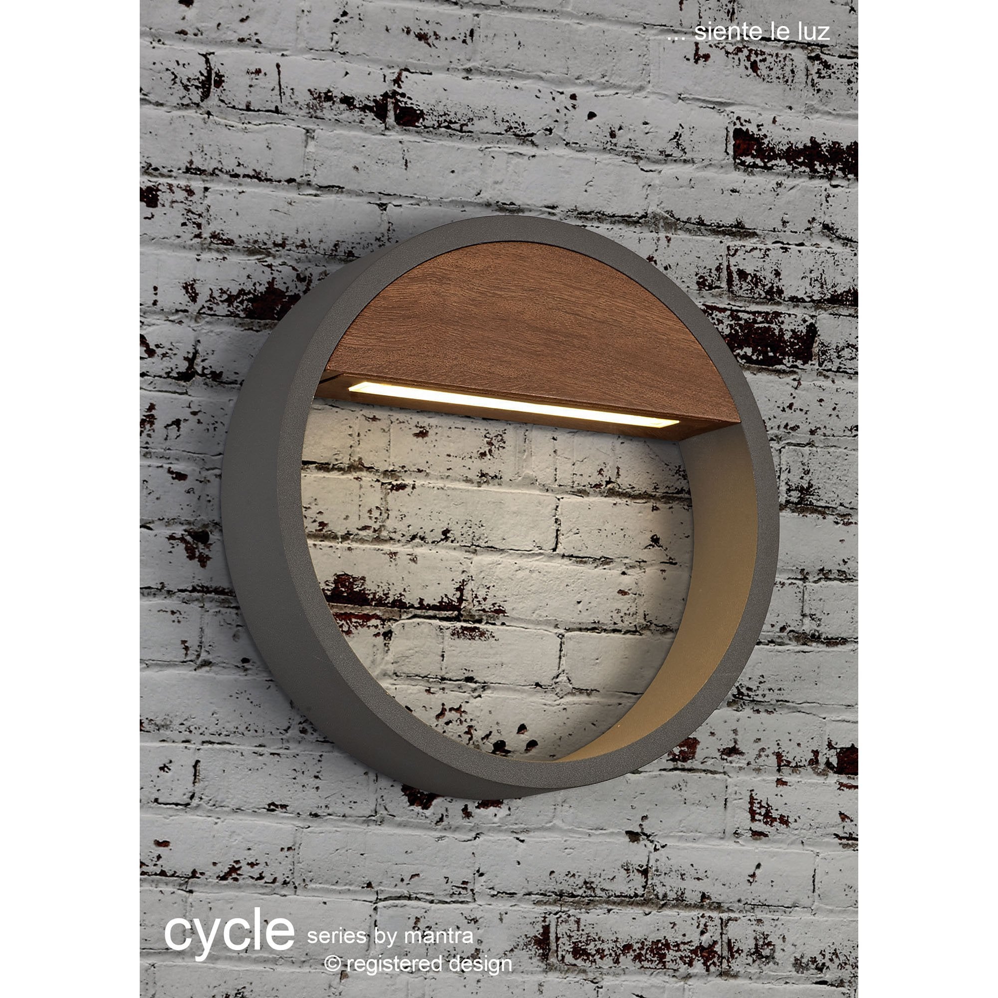 Cycle Outdoor Wall  Light 12W LED Dark Grey
