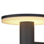 M6496 Cerler Outdoor Wall Lamp 10W LED Anthracite