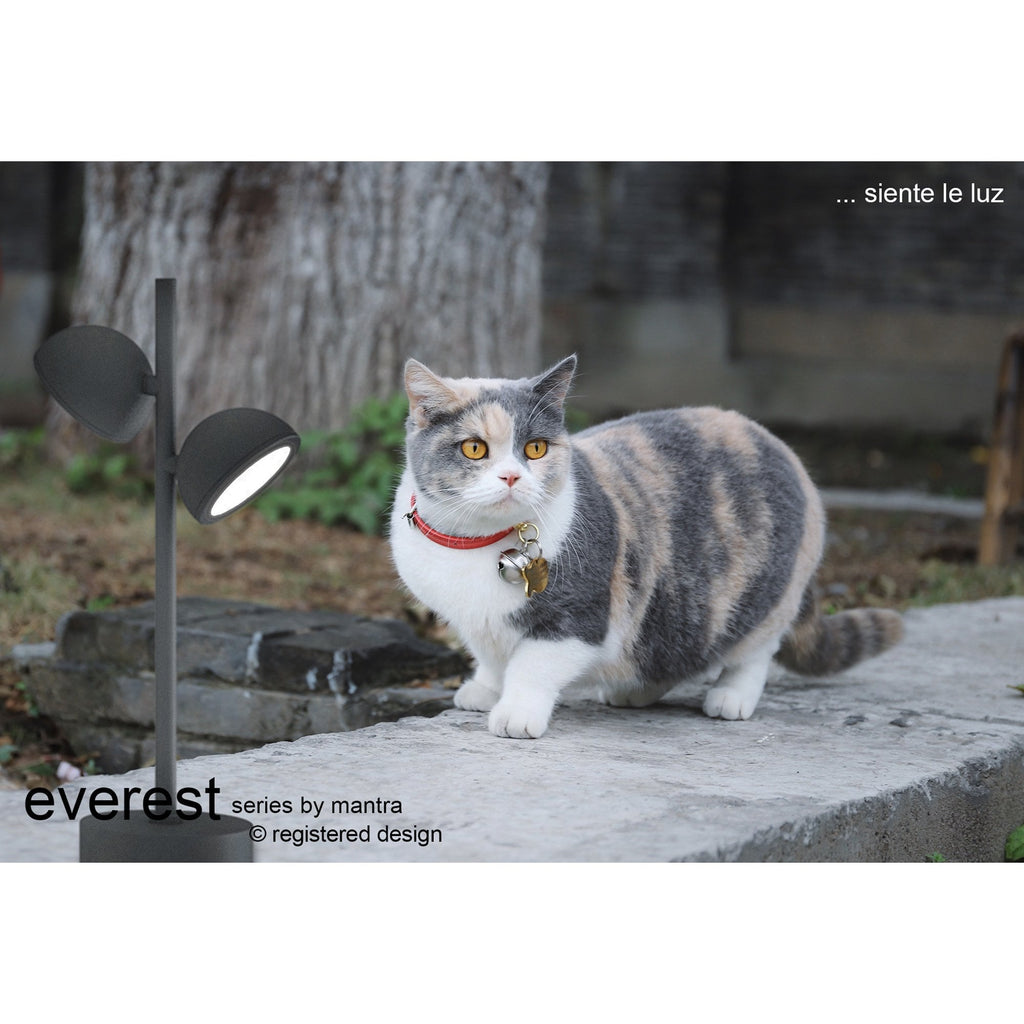 M6741 Everest Outdoor Short Post 2 Light Anthracite