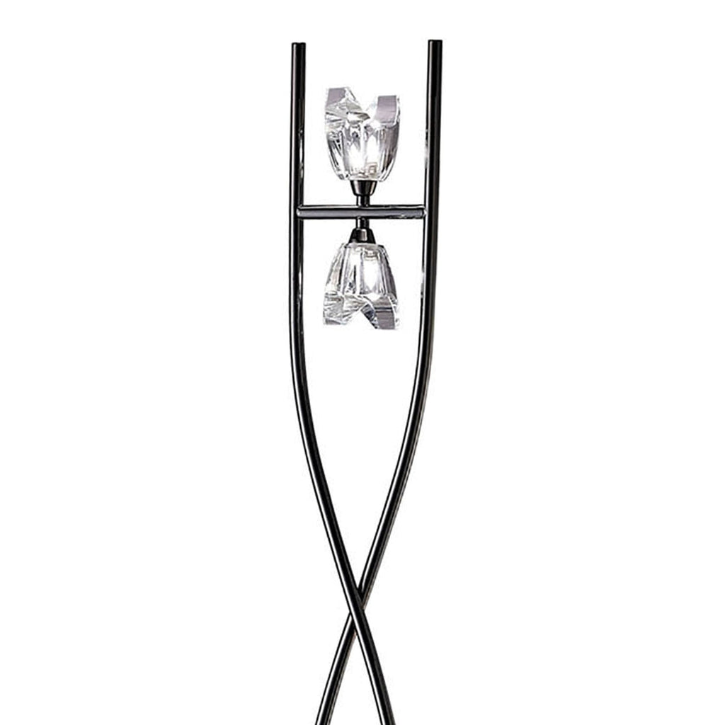 M1463BC Eclipse Floor Lamp 2 Light G9 Black Chrome