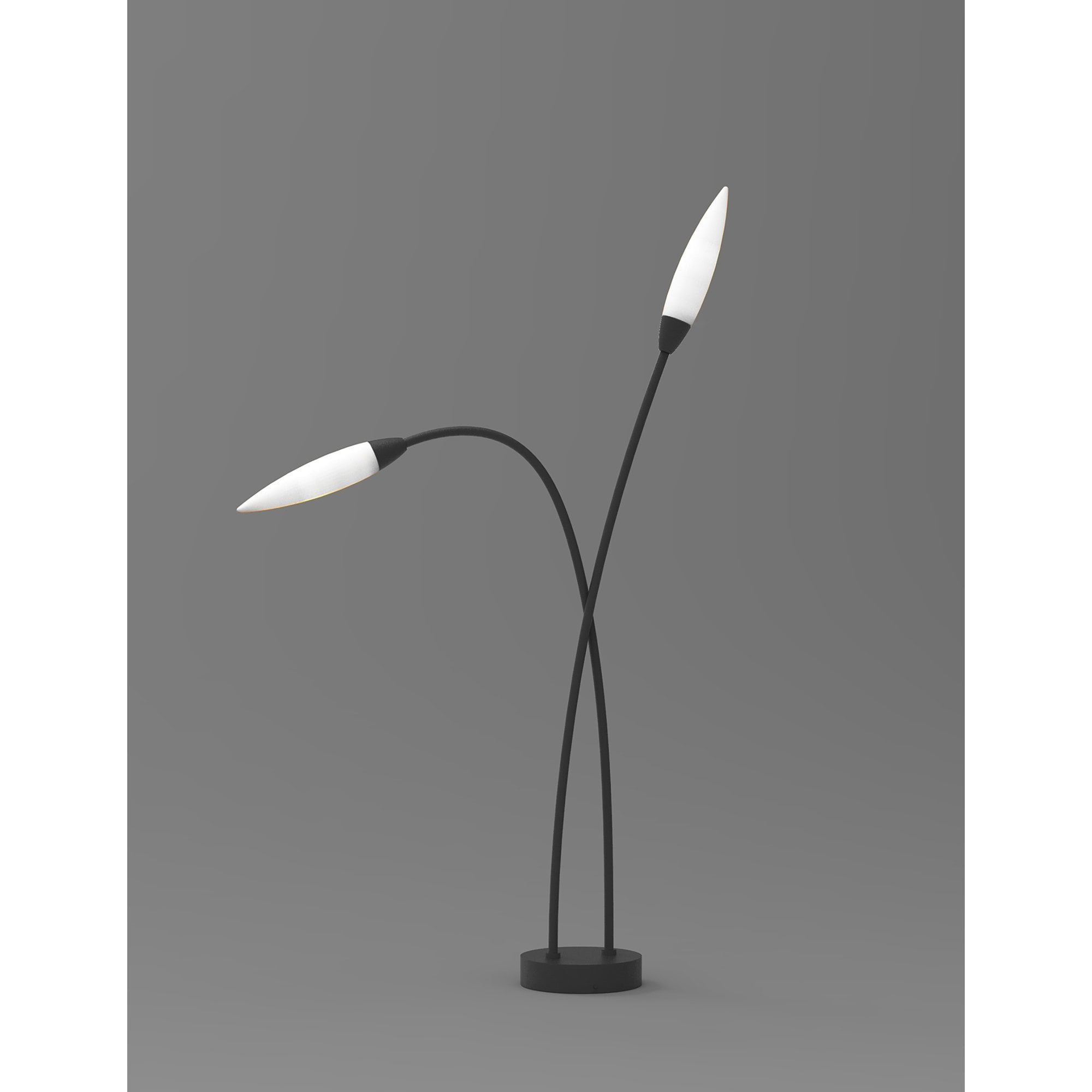 M6545 Espiga Outdoor Multi-Head Post Lamp 2 Light Anthracite