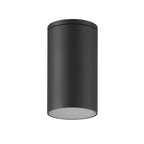 M7901 Kandanchu Outdoor Tall Round Ceiling Spotlight 1 Light Anthracite