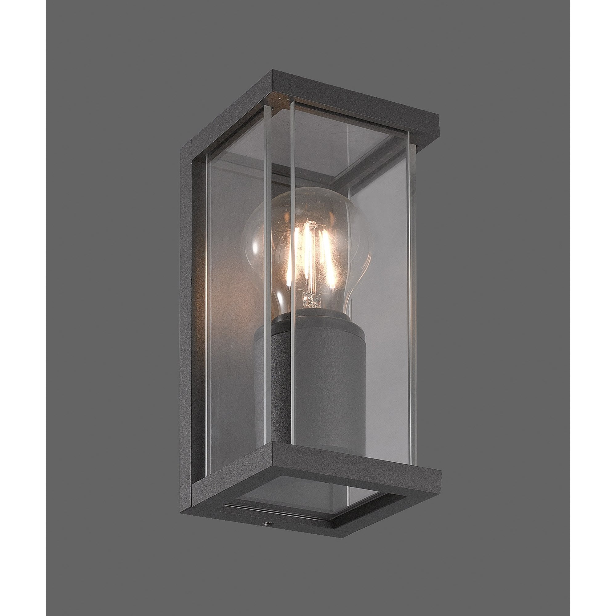 Meribel Outdoor Wall  Lamp 1 Light Graphite