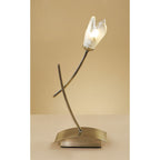 M0194AB Pietra Table Lamp 1 Light G9 Antique Brass