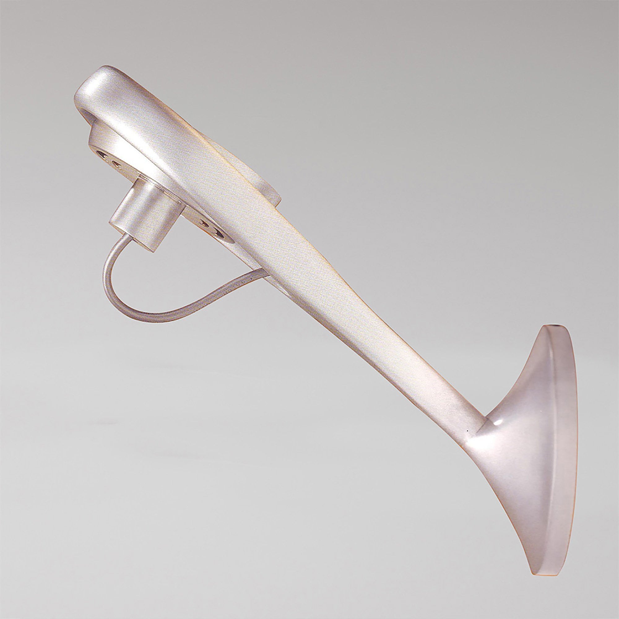 M36003 Rak Wall Lamp 1 Light GU10 Ar111 75W Silver Grey