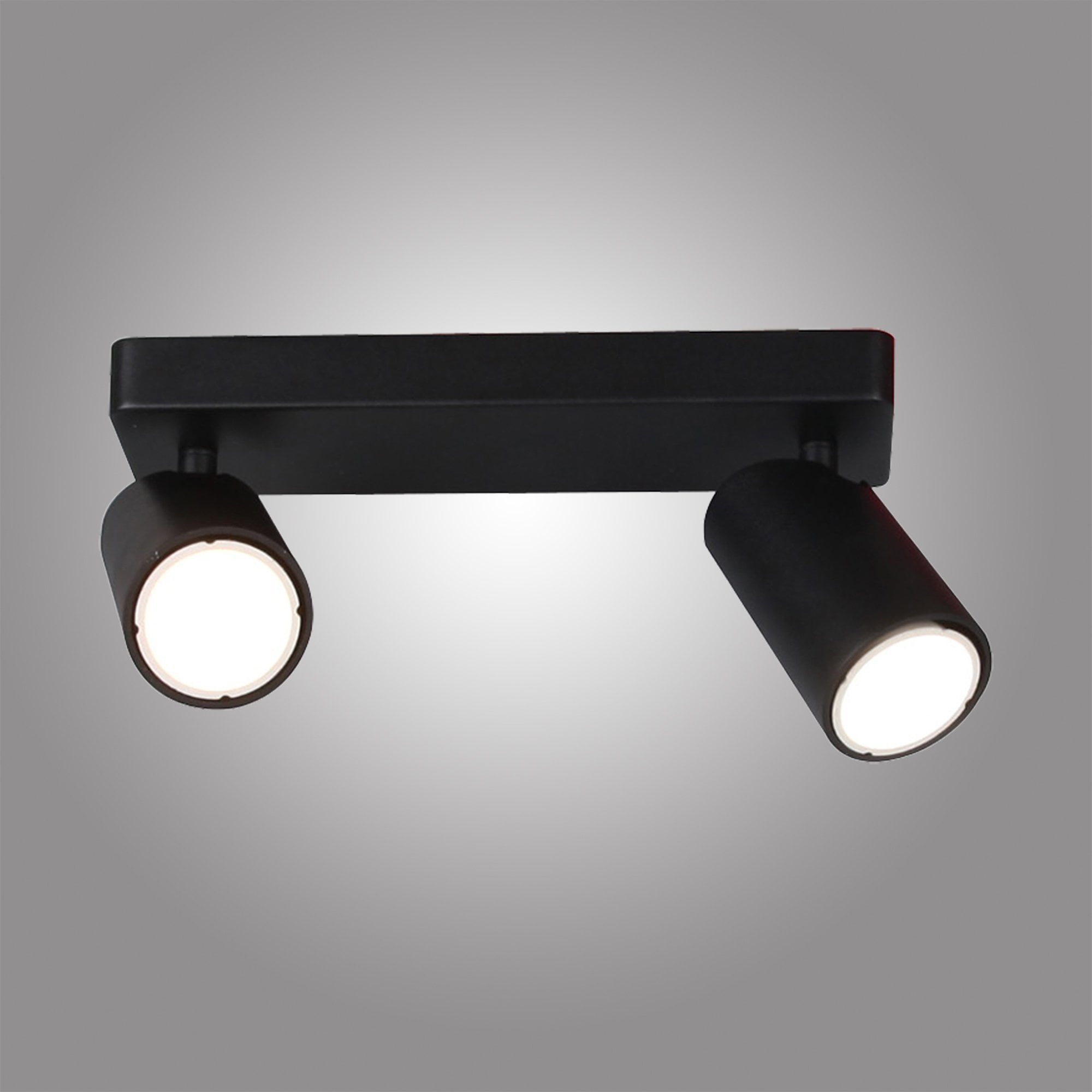 M6712 Sal Linear 2 Light Spotlight GU10 Matt Black