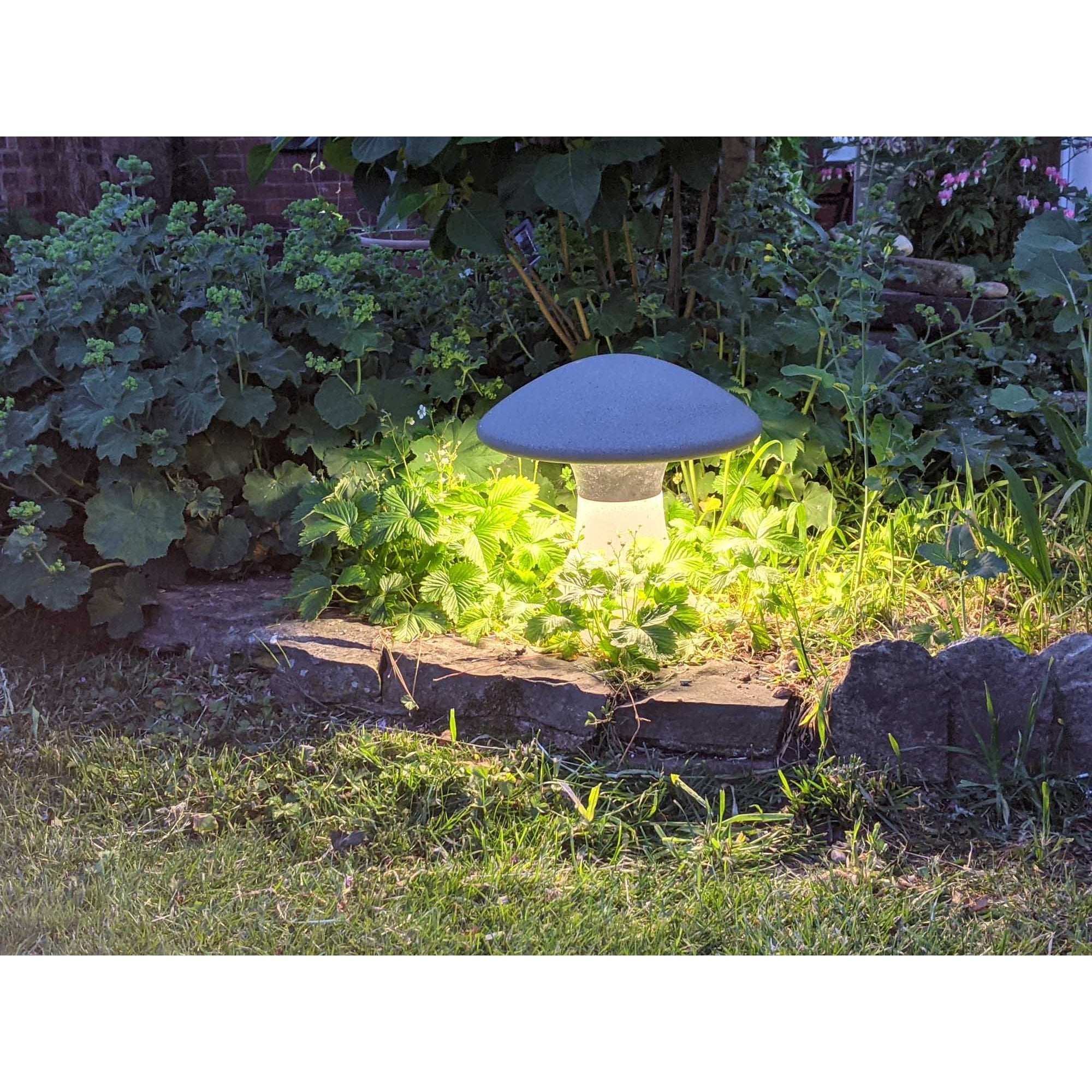 Taos Outdoor Ground  Light 1 Light Dark Grey Cement