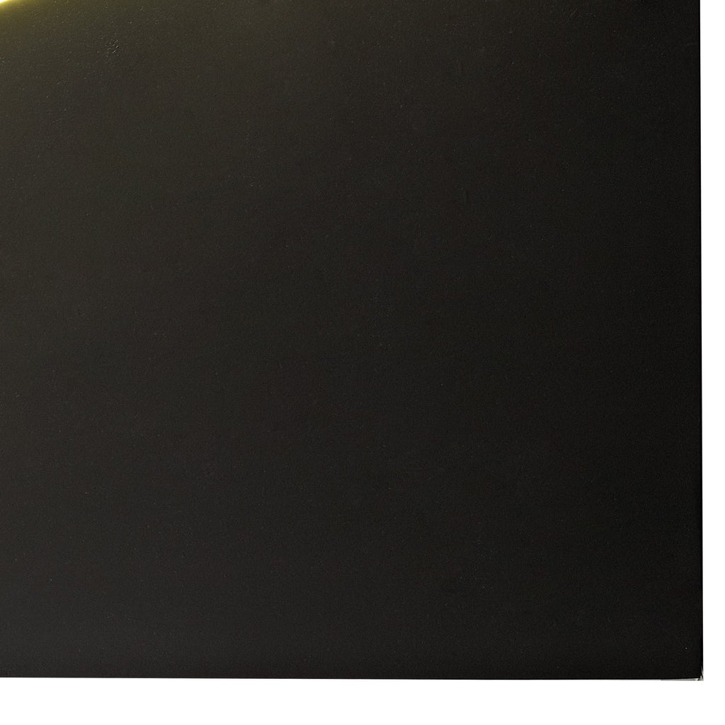 M7266 Trazos Bison Picture Wall Lamp 20W LED Matt Black