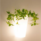 M6508 Teja Outdoor Wall Lamp 1 Light White
