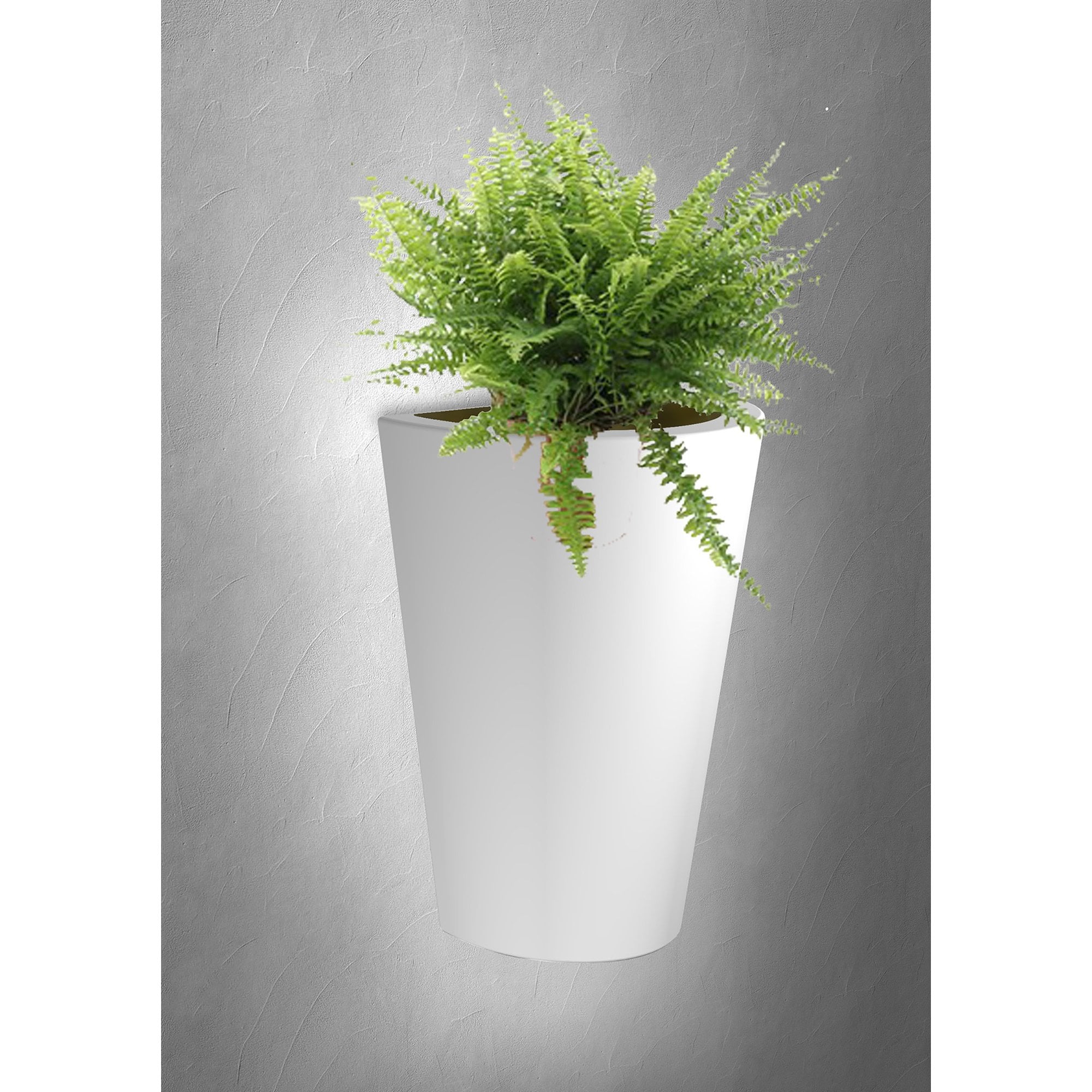 M6508 Teja Outdoor Wall Lamp 1 Light White