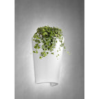 M6508 Teja Outdoor Wall Lamp 1 Light White