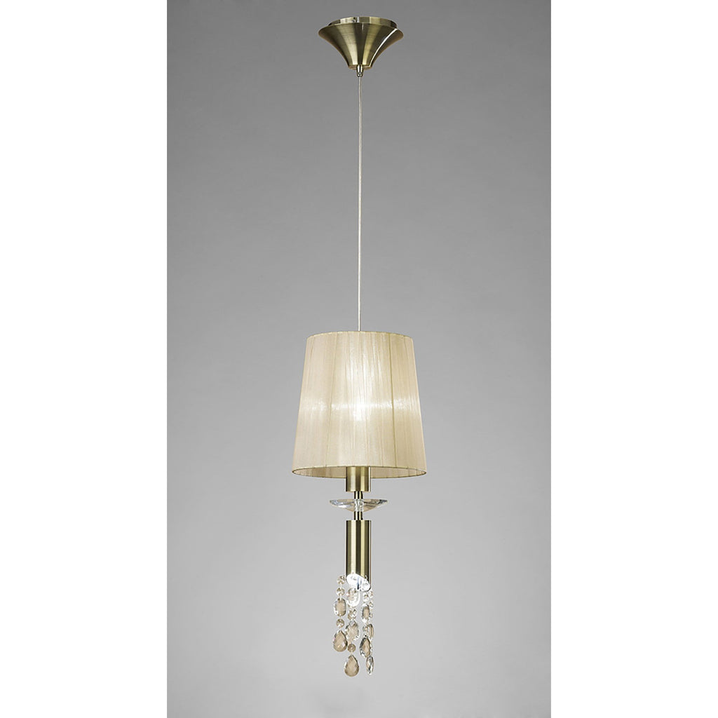 M3881 Tiffany Pendant 1+1 Light E27+G9 Antique Brass Soft Bronze Shade & Clear Crystal
