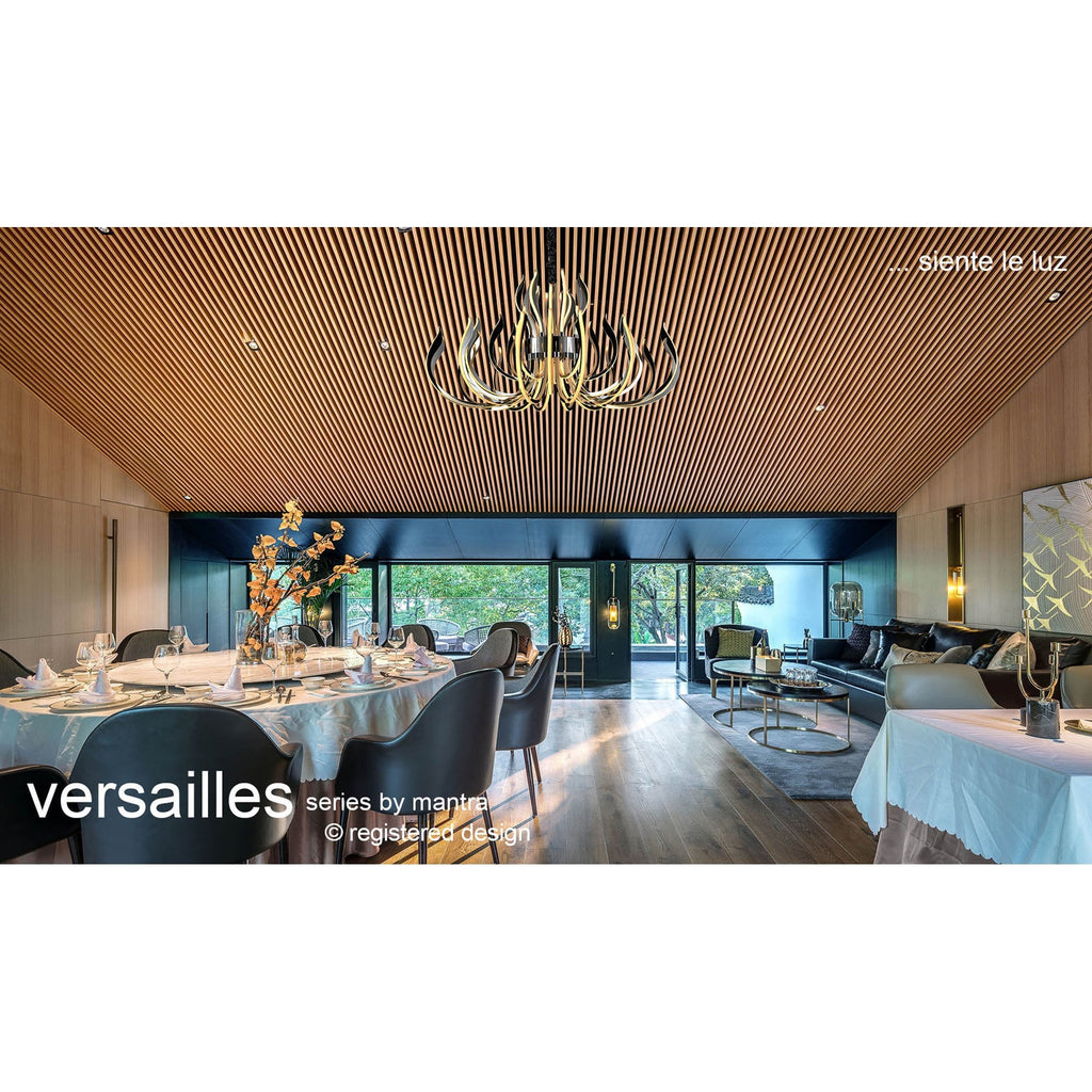 M5560 Versailles Ceiling LED Light 256W