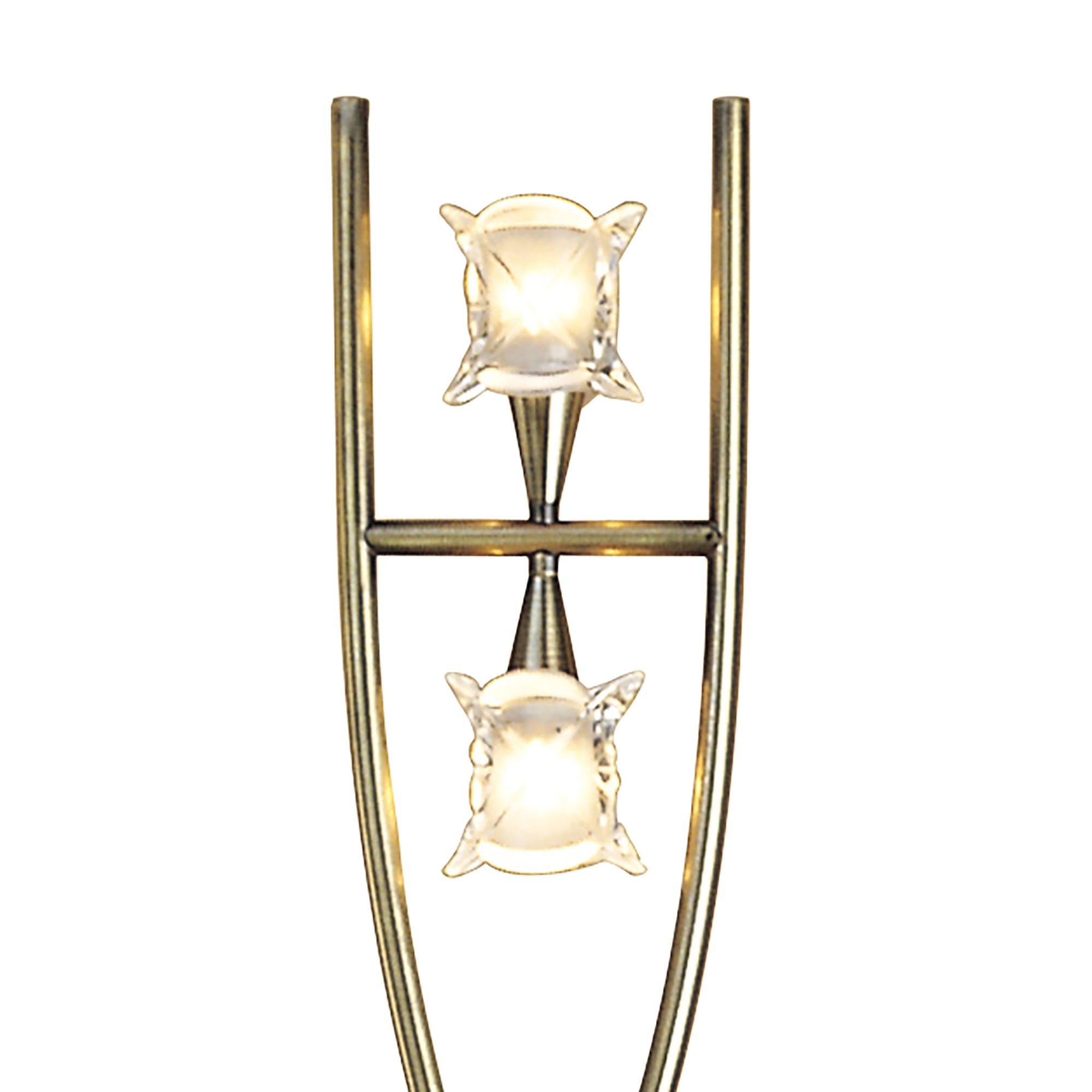 M0054AB Rosa Del Desierto Floor Lamp 2 Lights