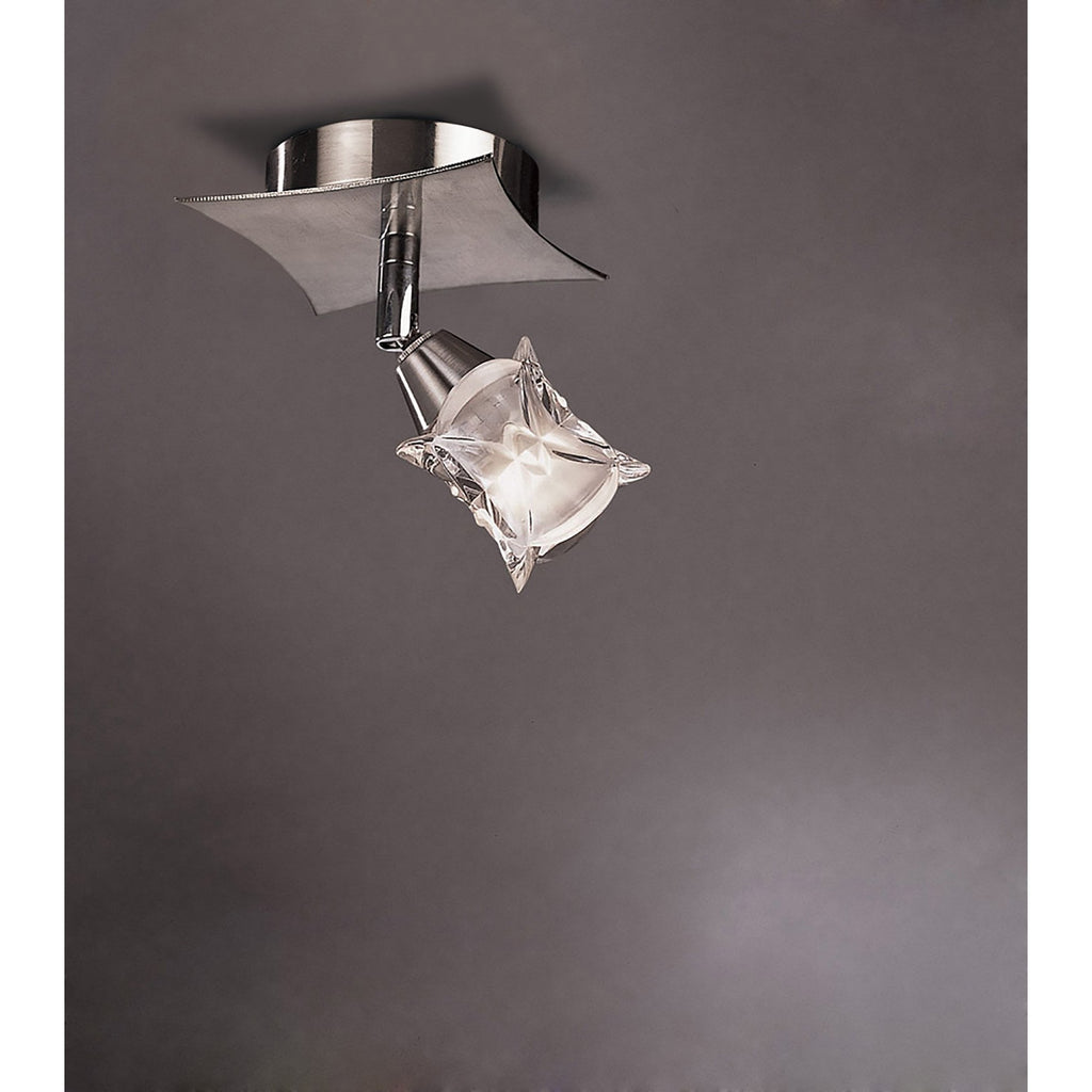 M0041/S Rosa Del Desierto Switched 1 Spot Light