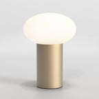 1176022 Zeppo LED Portable Table Lamp Light Bronze