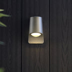 95536 Outdoor Wall LED Light Brushed Silver Finish And Frosted Glass