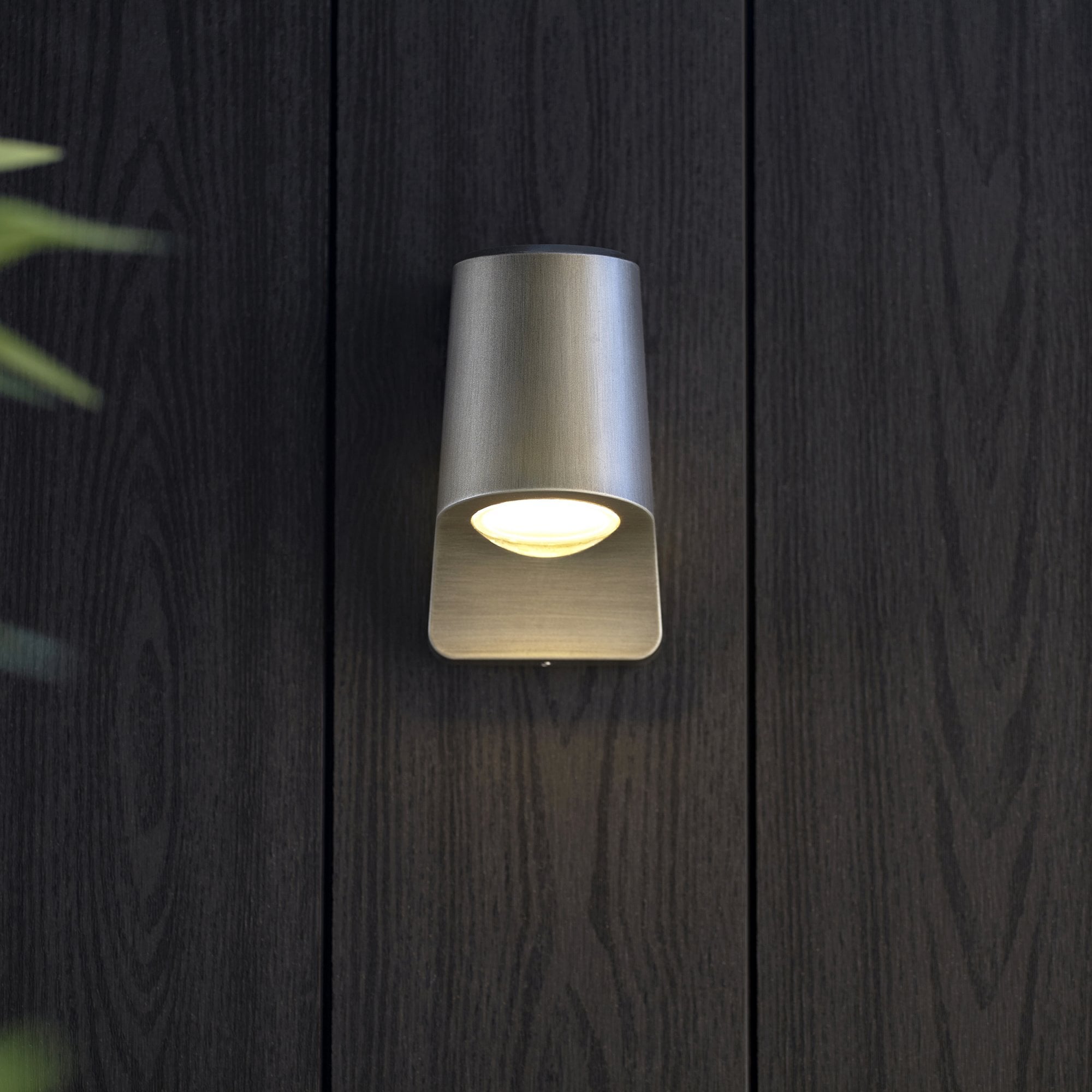 95536 Outdoor Wall LED Light Brushed Silver Finish And Frosted Glass