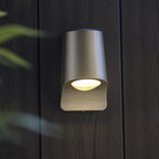 95536 Outdoor Wall LED Light Brushed Silver Finish And Frosted Glass