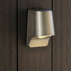 95536 Outdoor Wall LED Light Brushed Silver Finish And Frosted Glass