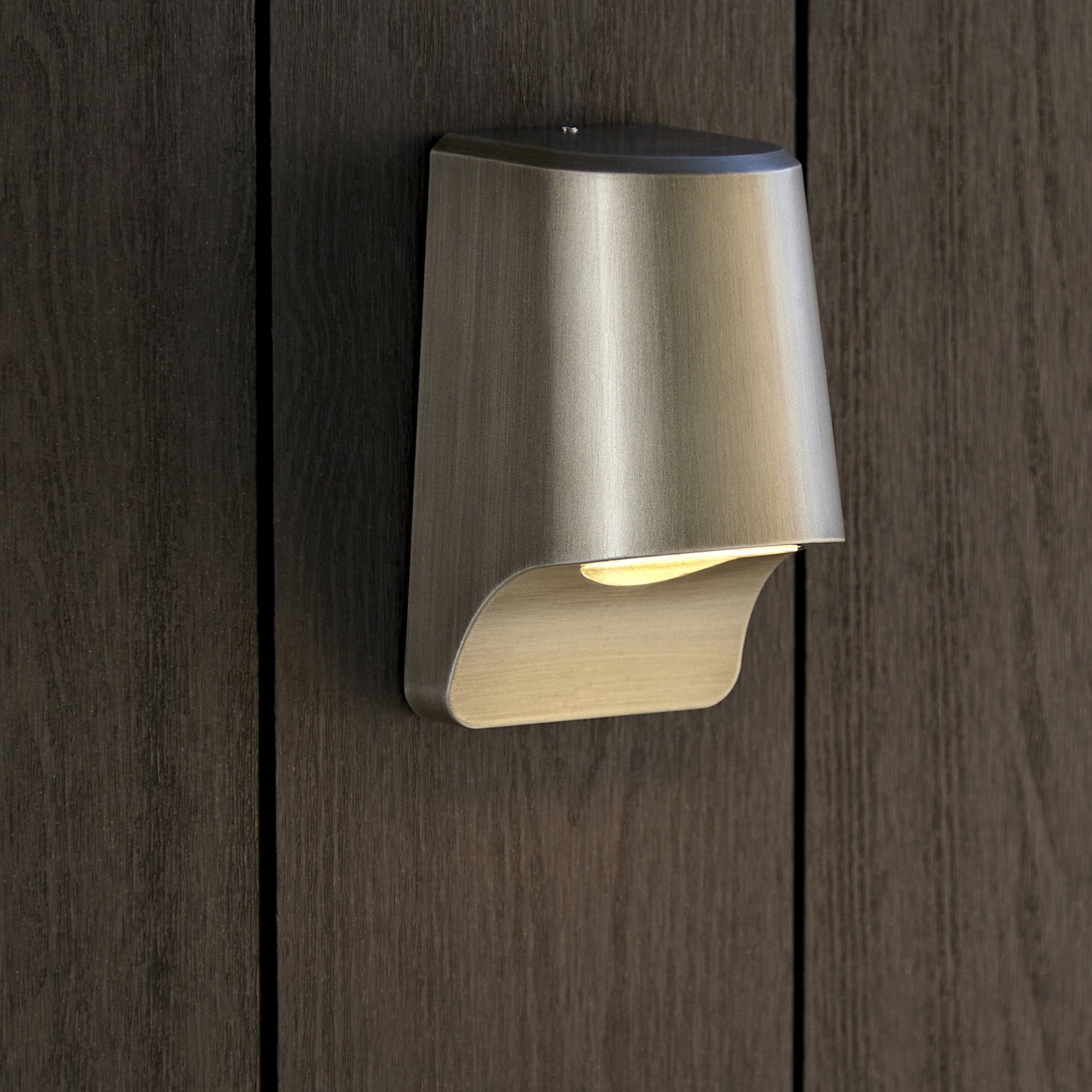95536 Outdoor Wall LED Light Brushed Silver Finish And Frosted Glass