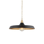 99998 Pendant 1 Light Matt Black And Satin Gold Paint