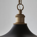 99998 Pendant 1 Light Matt Black And Satin Gold Paint