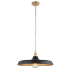99998 Pendant 1 Light Matt Black And Satin Gold Paint