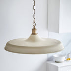 99999 Pendant 1 Light Matt Warm White And Satin Gold Paint (S)