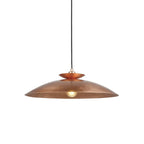 104010 Pendant 1 Light Hammered Copper And Copper Plate