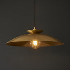 104011 Pendant 1 Light Hammered Brass And Brass Plate
