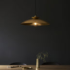 104011 Pendant 1 Light Hammered Brass And Brass Plate