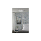IBE502 Iben Flush White Acrylic With Colour Changing LED