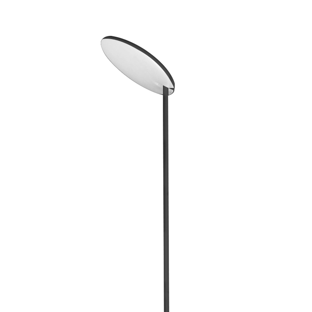 M8511 Nassau LED Floor Lamp 182cm Black