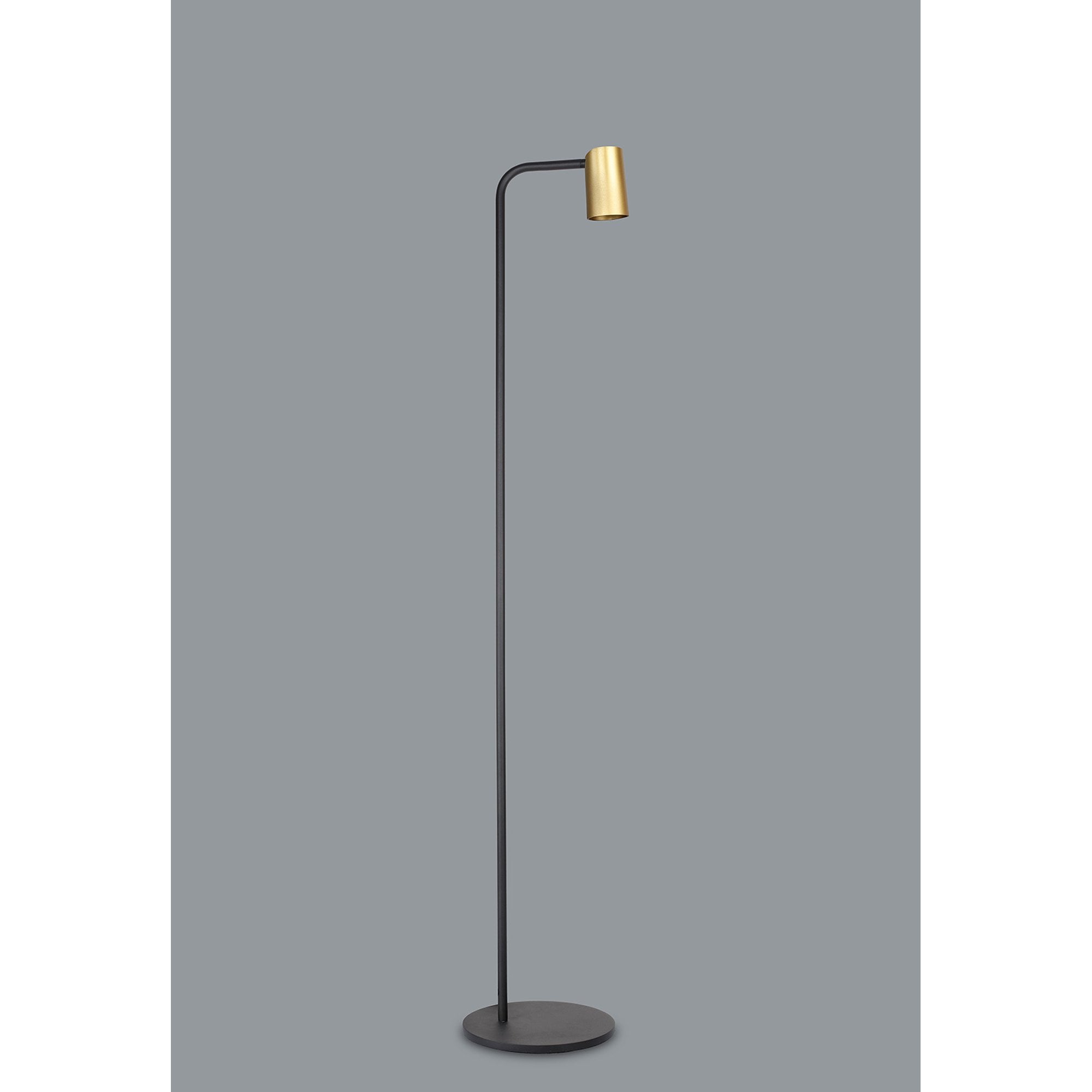 M8493 Sal Floor Lamp 1 Light Satin Gold/Matt Black