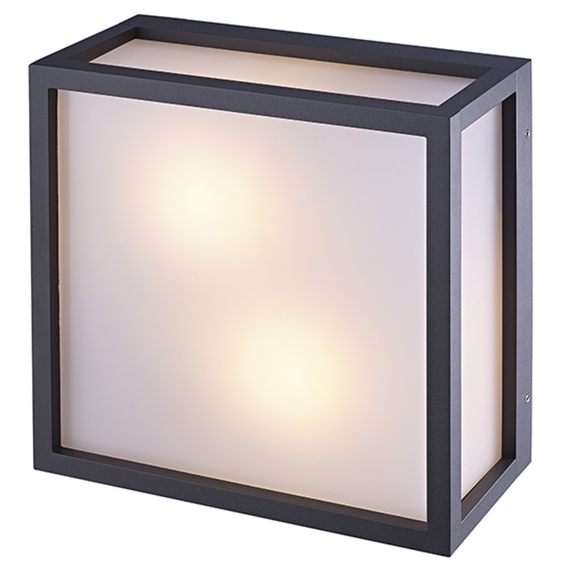 M8378 Utah Outdoor 2 Light Ceiling Light Graphite