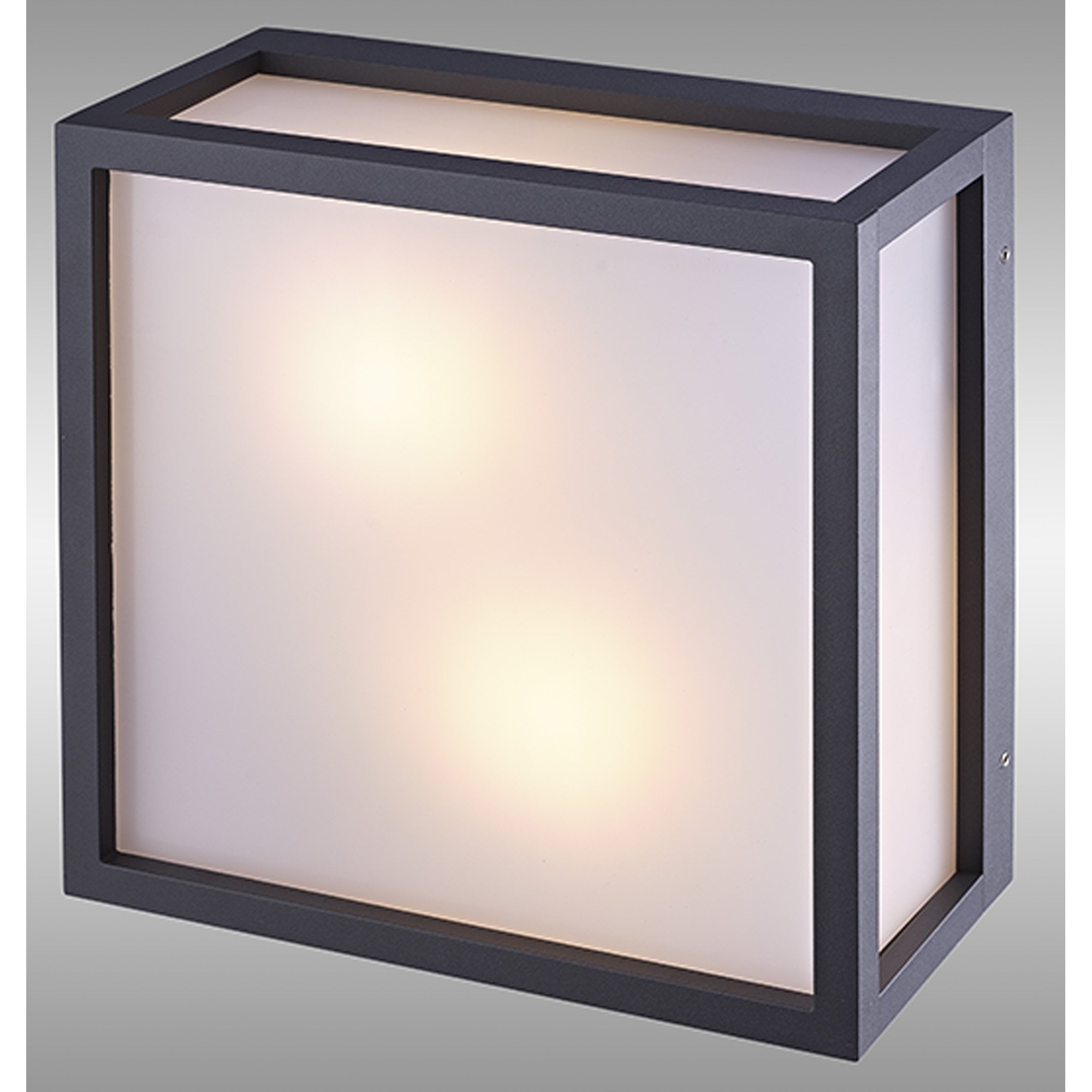 M8378 Utah Outdoor 2 Light Ceiling Light Graphite